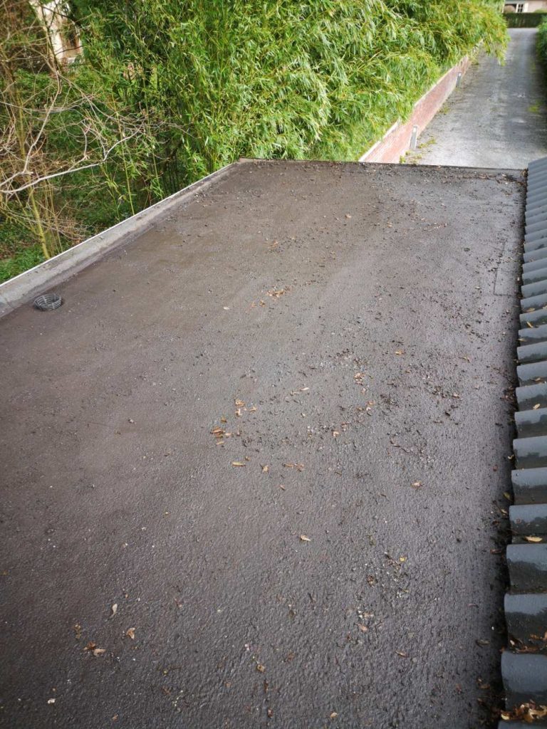 Toit humide avec végétation environnante