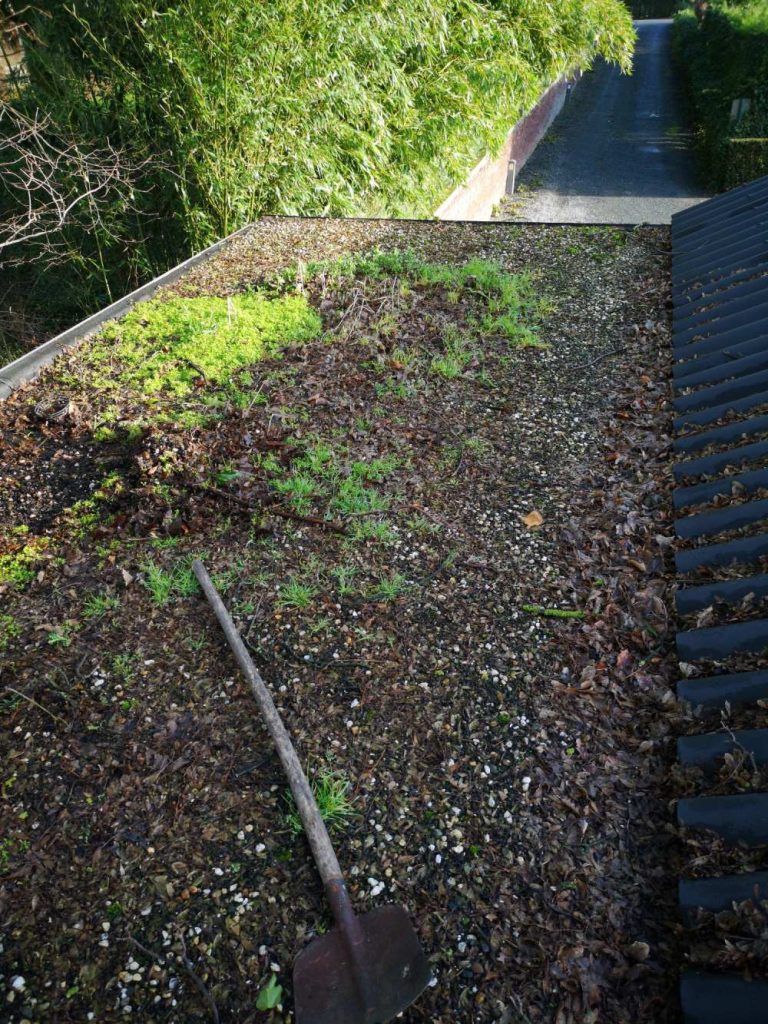 Toit avec des plantes et pelle