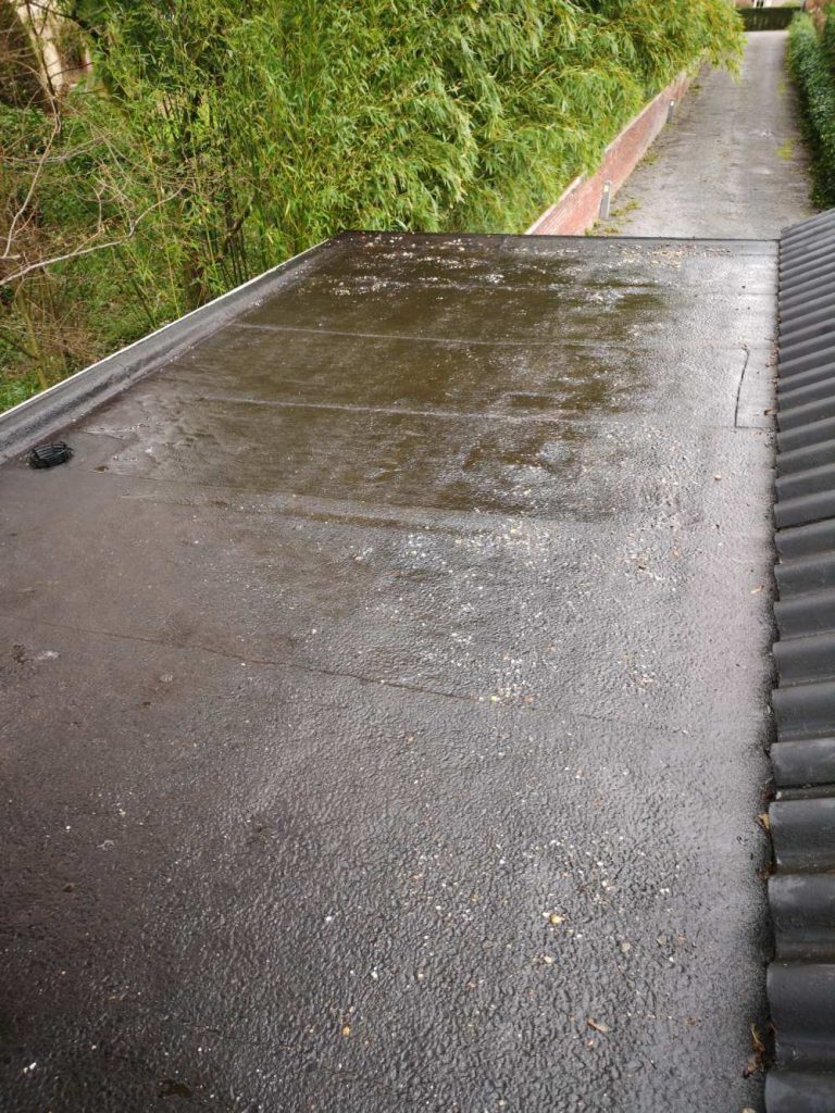 Toit plat avec feuilles sèches